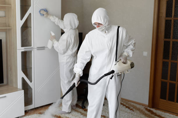 Best Post-Flood Mold Remediation in Manitowoc, WI