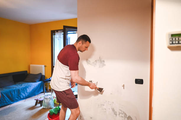 Best HVAC Mold Remediation in Manitowoc, WI